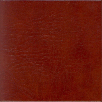 Picture of EcoDomo-Echelon Tile 12x12 Buffalo-Chestnut