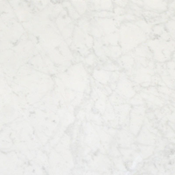 Picture of Stone Collection - Bianco Carrara 12 x 12 Bianco Carrara Honed