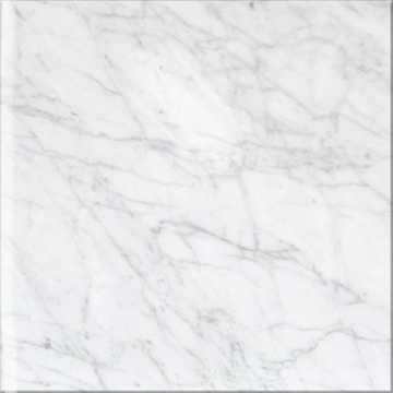 Picture of Stone Collection - Bianco Carrara 24 x 24 Bianco Carrera Polished