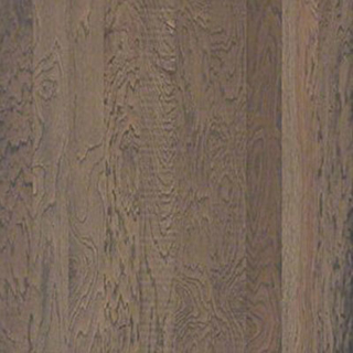 Picture of Shaw Floors - Belle Grove Shadow