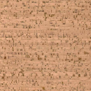Picture of Globus Cork - Striata Texture 12 x 12 Bleached