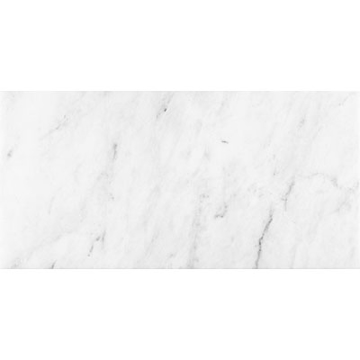 Picture of Anatolia Tile & Stone - Bianco Venatino 3 x 6 Bianco Honed