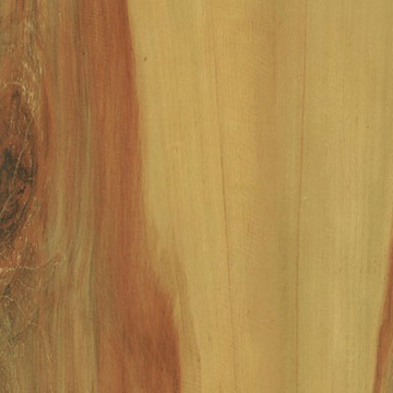 Picture of Adore - Decoria Long Planks Oiled Pear