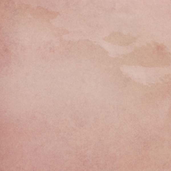 Picture of Equipe - Artisan 5 x 5 Rose Mallow