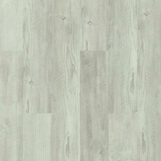 Picture of Shaw Floors - Intrepid HD Plus Distressed Pine