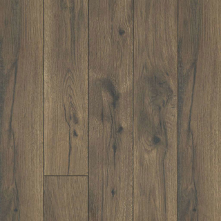 Picture of Shaw Floors-Gold Coast 7.5 Cabana Brown