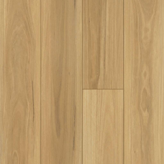 Picture of Shaw Floors - Distinction Plus Eucalyptus