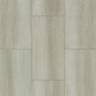 Picture of Shaw Floors - Paragon Tile Plus Ash