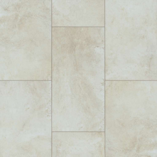 Picture of Shaw Floors - Paragon Tile Plus Shale