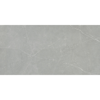 Picture of Emser Tile-Sterlina II 12 x 24 Polished Gray