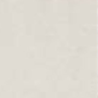 Picture of Ergon Tile - Tr3nd Concrete 24 x 48 White