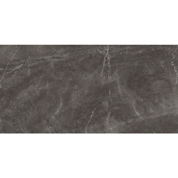 Picture of Euroker - Bayona 24 x 48 Polished Gris