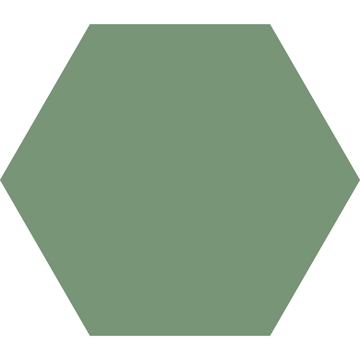 Picture of Codicer - Hex 25 Basic Forest