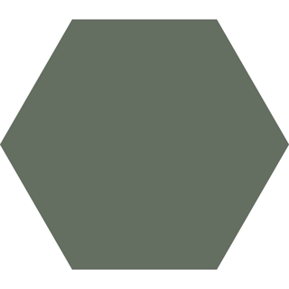 Picture of Codicer - Hex 25 Basic Moss