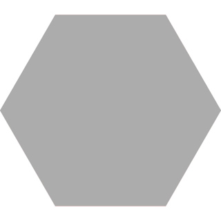 Picture of Codicer - Hex 25 Basic Silver