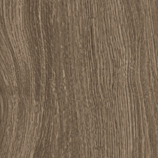 Picture of Eleganza Tiles - Bio Select 12 x 48 Oak Cloves