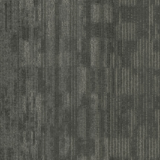 Picture of Patcraft - Natural Form Echo