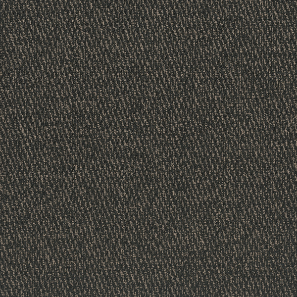 Picture of Pentz-Atrium Fallow