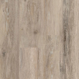 Picture of Signature Collection - Tuscan Coast Augustus