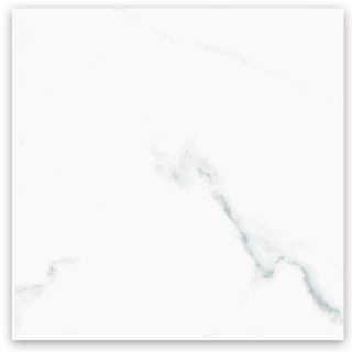 Picture of Prissmacer - Calacatta 24 x 24 Matt Blanco