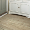 Picture of Shaw Floors - Anvil Plus Chatter Oak