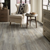 Picture of Shaw Floors - Anvil Plus Grey Chestnut