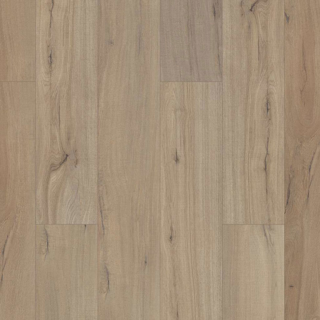 Picture of Shaw Floors - Paladin Plus Driftwood