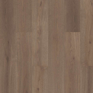 Picture of Shaw Floors - Prodigy HDR Plus Glogg
