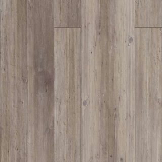 Picture of Shaw Floors - Resolute 5 Plus Distinct Pine