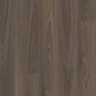 Picture of Shaw Floors-Brio Plus 20 Dark Elm