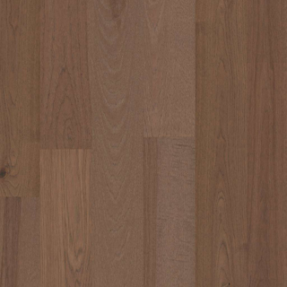 Picture of Shaw Floors - Exploration Hickory Delta