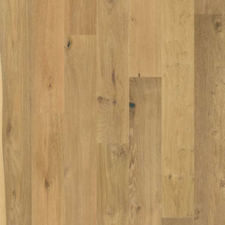 Picture of Shaw Floors - Frontier Smooth Orchard