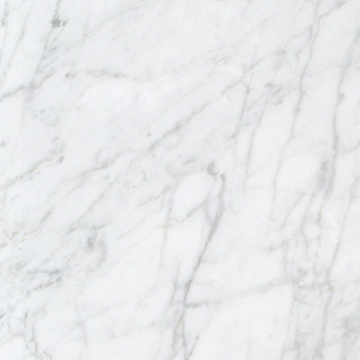Picture of Stone Collection - Bianco Carrara 18 x 18 Bianco Carrera Honed