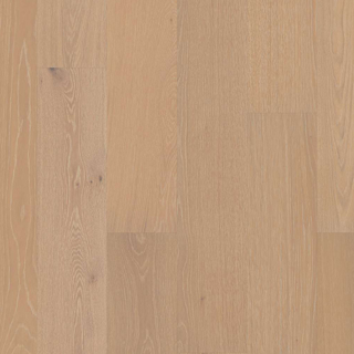 Picture of Shaw Floors - Citadel Countess