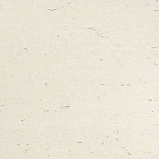 Picture of Globus Cork - Striata Texture 12 x 12 Mist