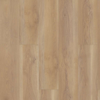Picture of Shaw Floors - Paragon HD Plus Natural Bevel Edgemont