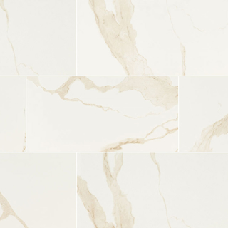 Picture of MS International - Eden 24 x 48 Matte Calacatta