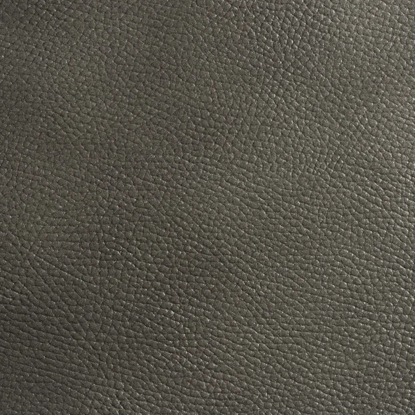 Picture of EcoDomo - Echelon Tile 18x18 Antique Grey Walrus