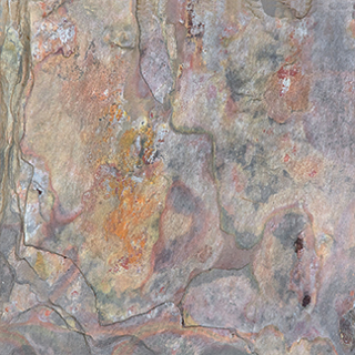Picture of Anatolia Tile & Stone - Slate 8 x 8 Kund Multi Natural