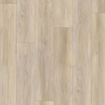 Picture of Bella Flooring Group - Kingston Windswept