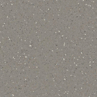 Picture of Tarkett - IQ Eminent 12 x 24 Dark Warm Grey 870