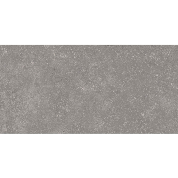 Picture of Emser Tile-Xtra 16 x 31 Ashmont Gray