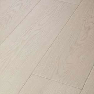Picture of Shaw Floors-Ascent NB Tundra