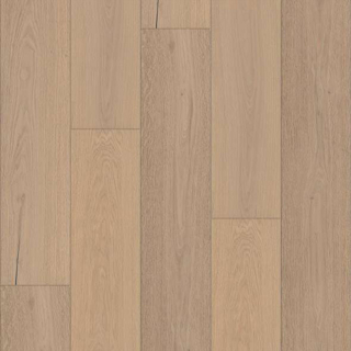 Picture of Shaw Floors-Expressions 9.5 Lyric