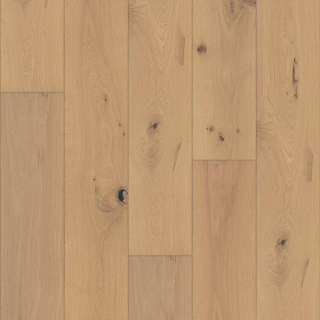 Picture of Shaw Floors-Expressions 9.5 Harmony