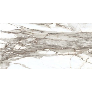 Picture of American Wonder Porcelain - Classica 24 x 48 Grigio Polished