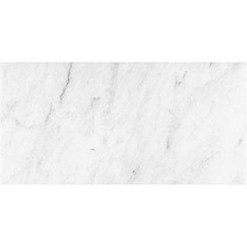 Picture of Anatolia Tile & Stone - Bianco Venatino 3 x 6 Bianco Polished