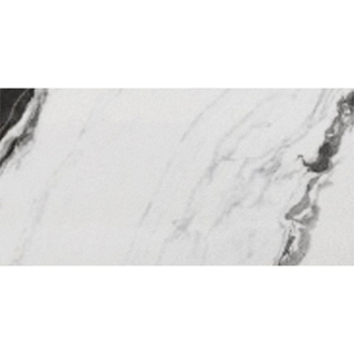 Picture of Eleganza Tiles - Panda 24 x 48 Panda Matte