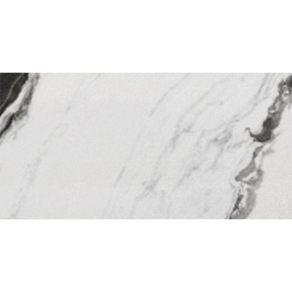 Picture of Eleganza Tiles - Panda 24 x 48 Panda Matte