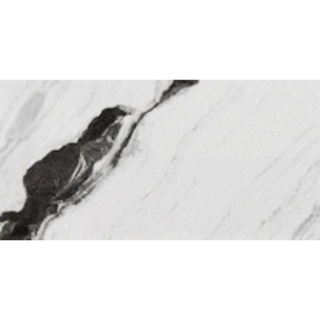 Picture of Eleganza Tiles - Panda 24 x 48 Wave Polished